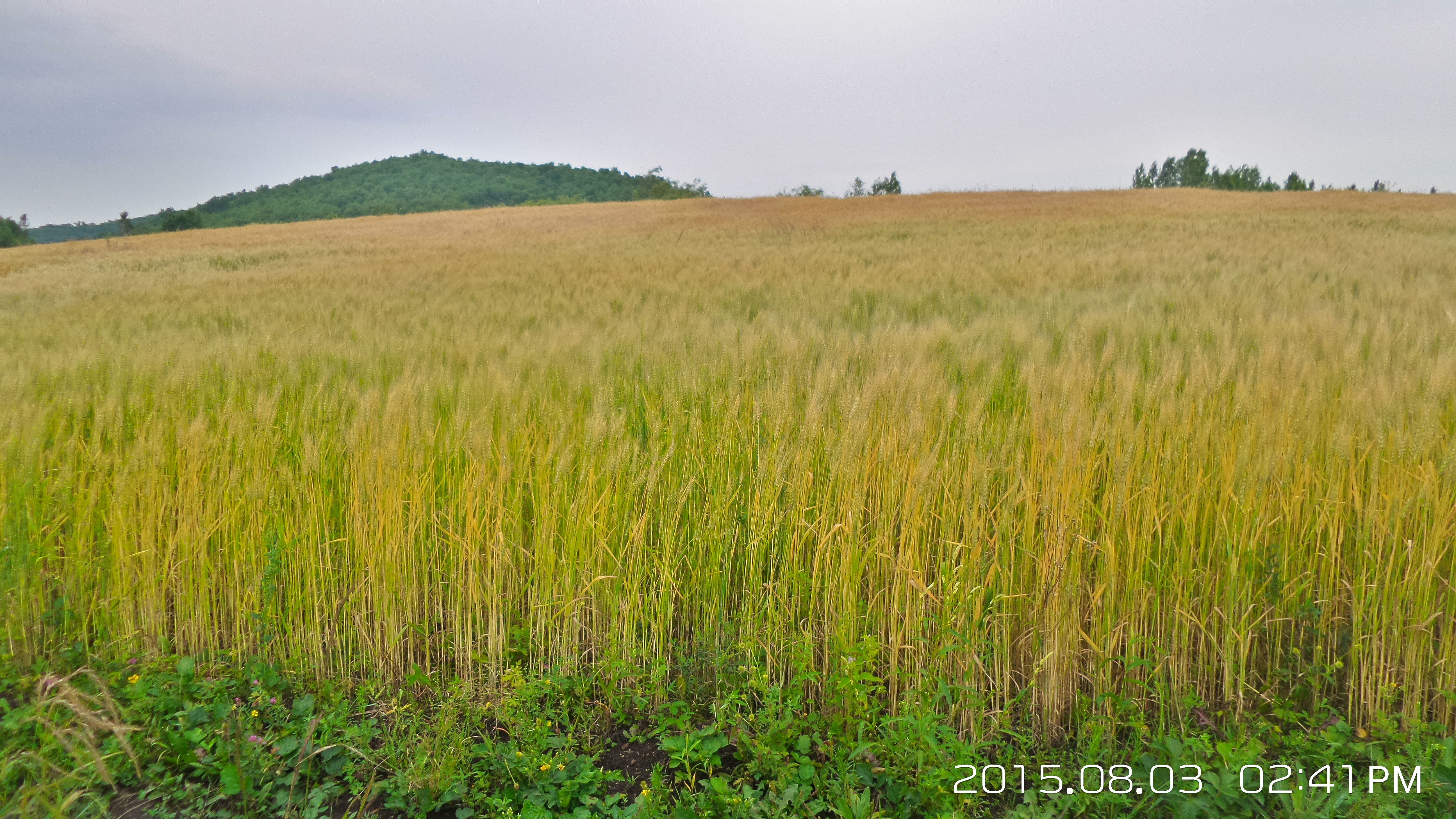 大山里的苦日子视频,你见过最苦的生活是什么样的