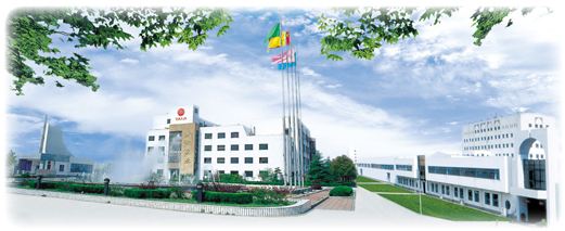 太极实业重大突破,太极实业历史