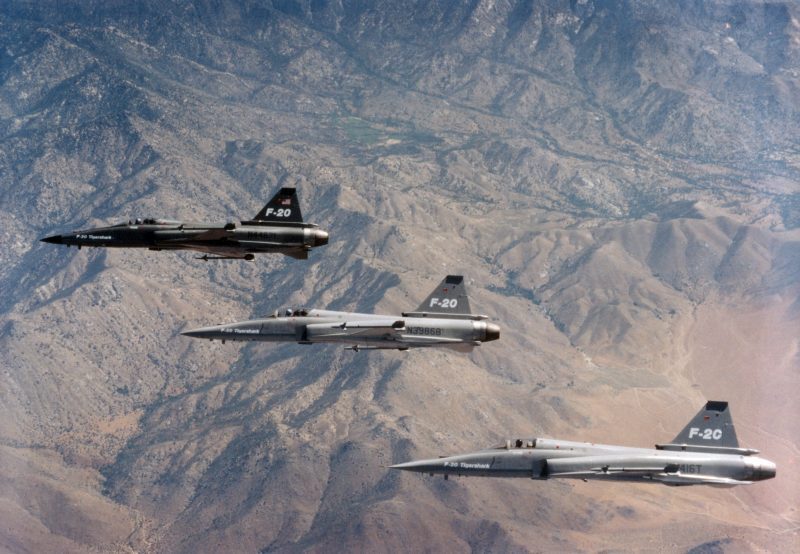 虎鲨悲剧,极富悲剧色彩的虎鲸