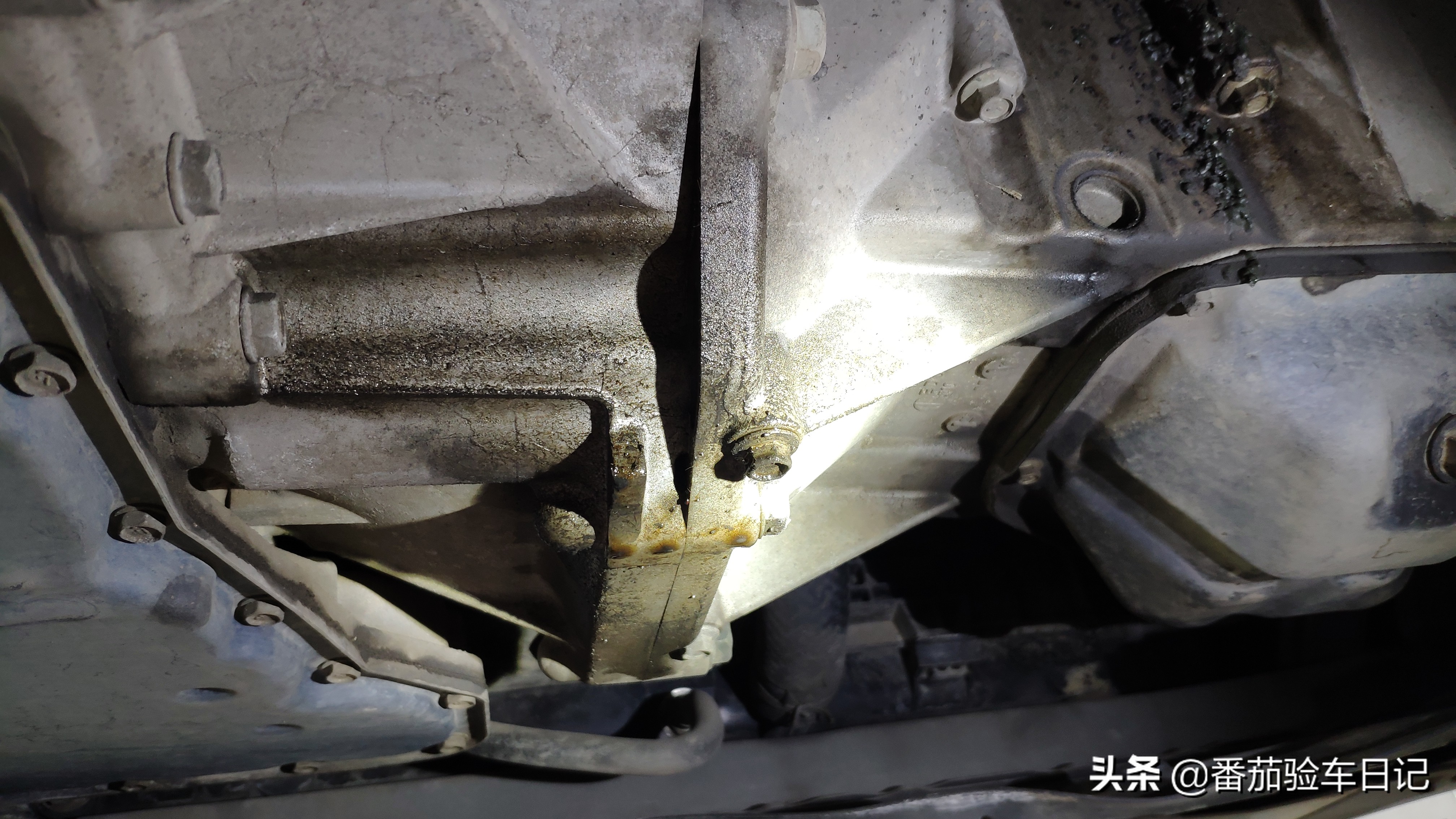 苍天饶过谁十年后的报应,苍天饶过谁节选