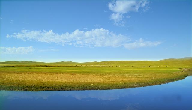 内蒙古人为什么说山西话,内蒙人为什么说话有口音