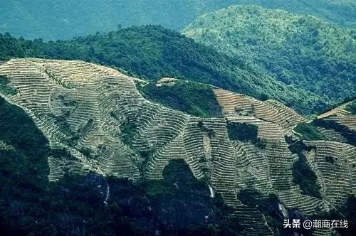 潮汕风水师讲风水,潮汕风水师讲风水合集