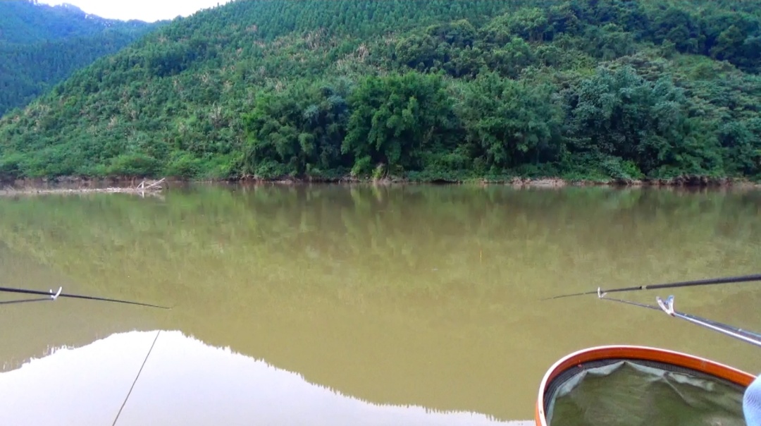 野钓鲫鱼小白条闹窝怎么解决,野钓遇杂鱼闹窝咋办