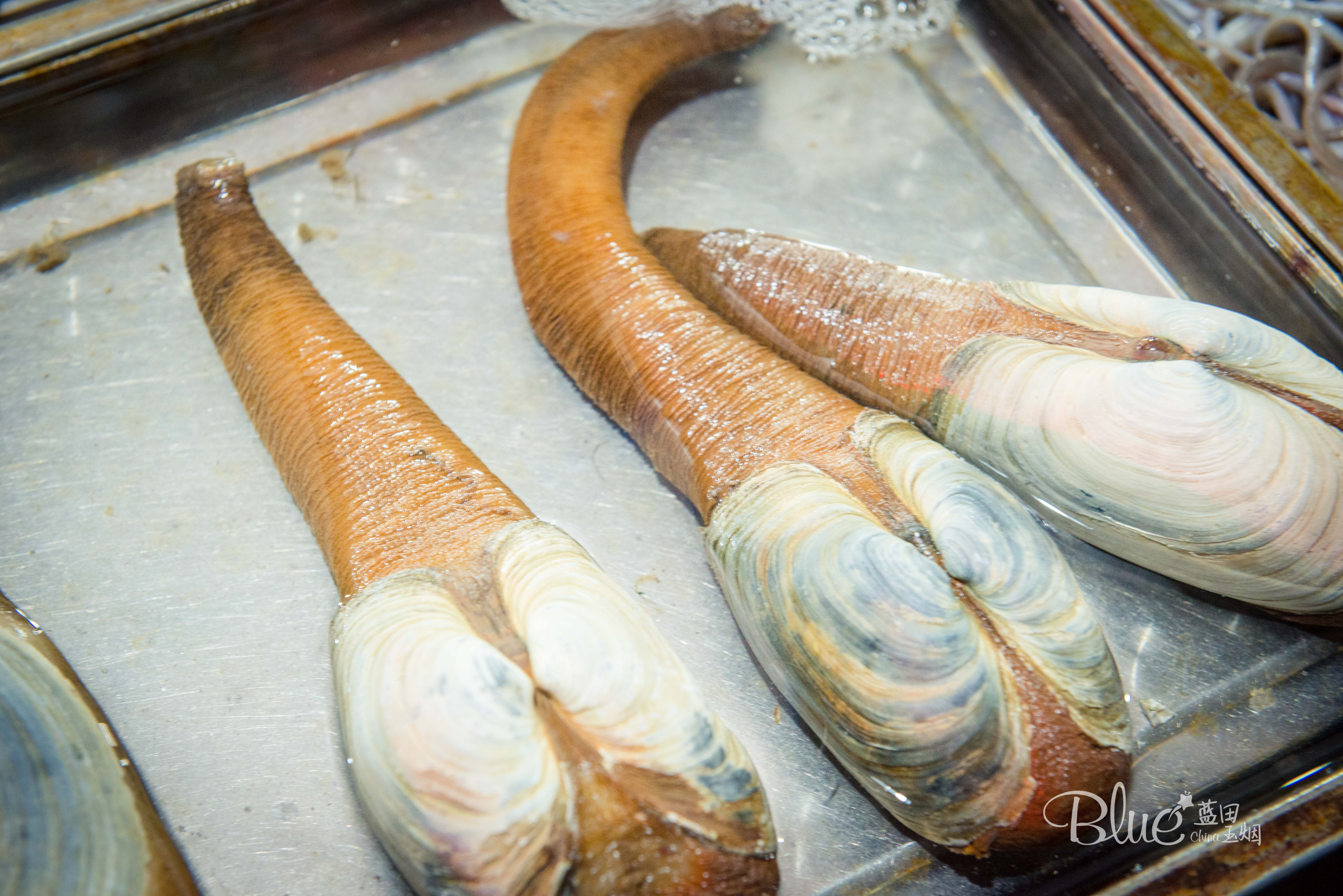 海口海鲜市场哪里比较好,海口板桥海鲜市场海鲜新鲜吗