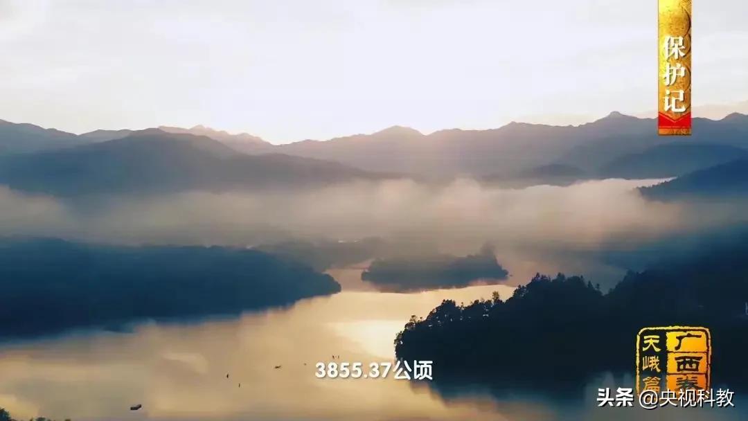 影像方志天峻,中国影像方志四川大竹篇