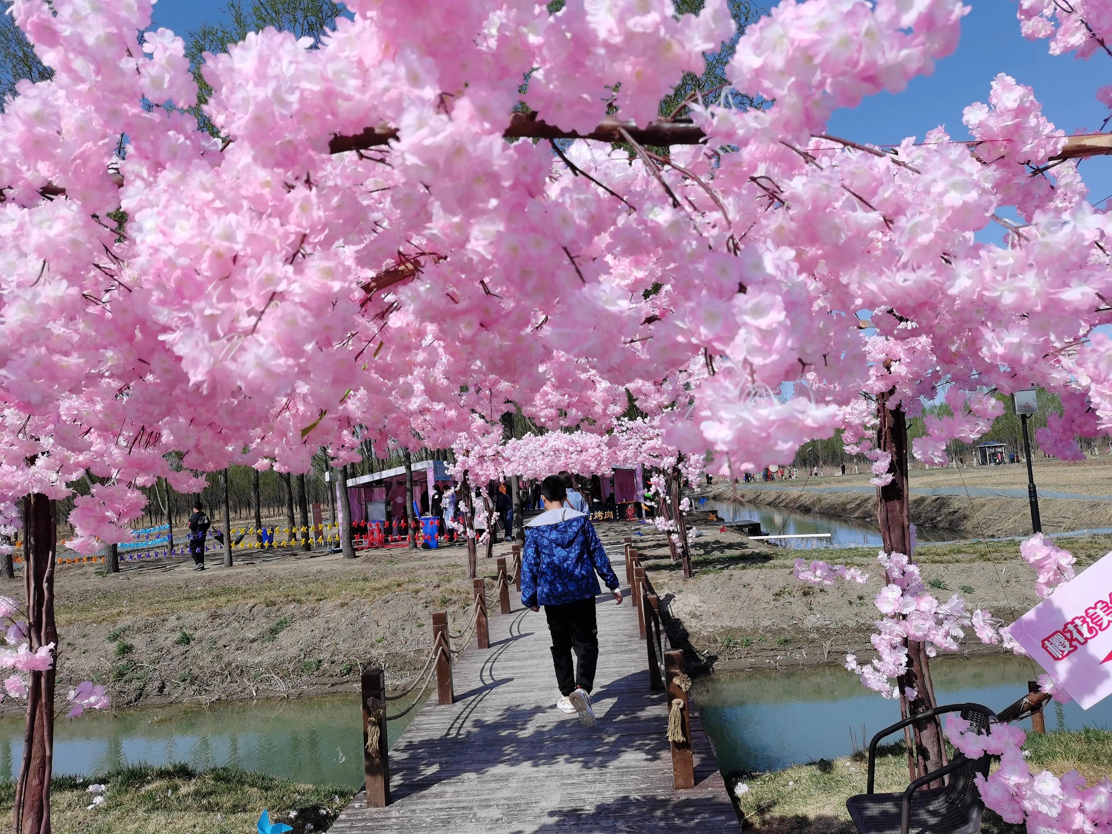 丰南半亩方塘景区,唐山丰南半亩方塘怎么样