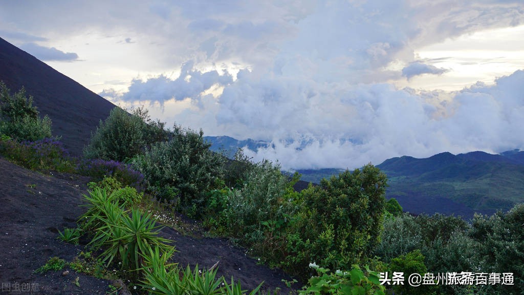 自由行攻略泰国海岛,自由岛旅游攻略