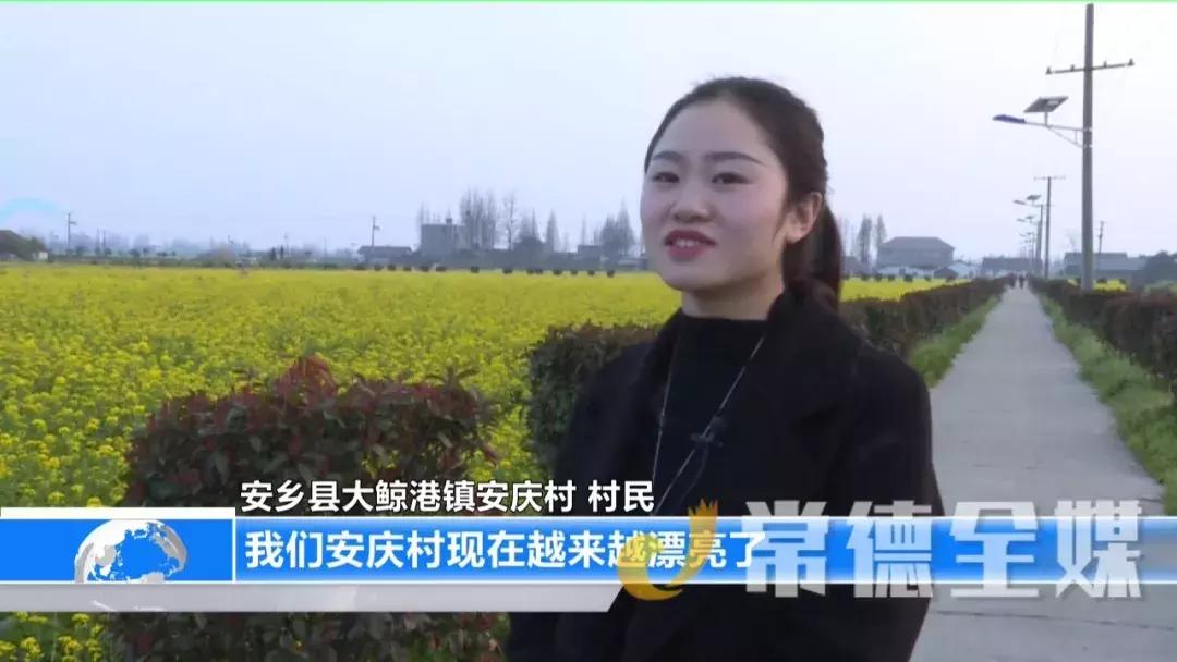 安乡县绿色种养循环项目,安乡县绿色食品产业园