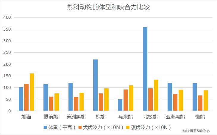 辟谣：熊猫的战斗力真的可以匹敌狮、虎吗？