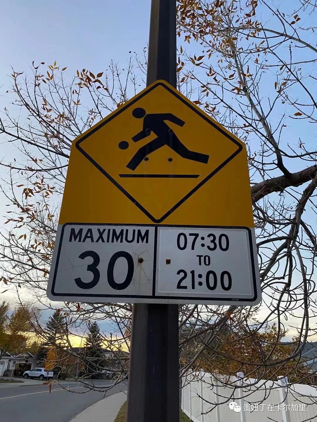 老司机谈开车,老司机聊车大全