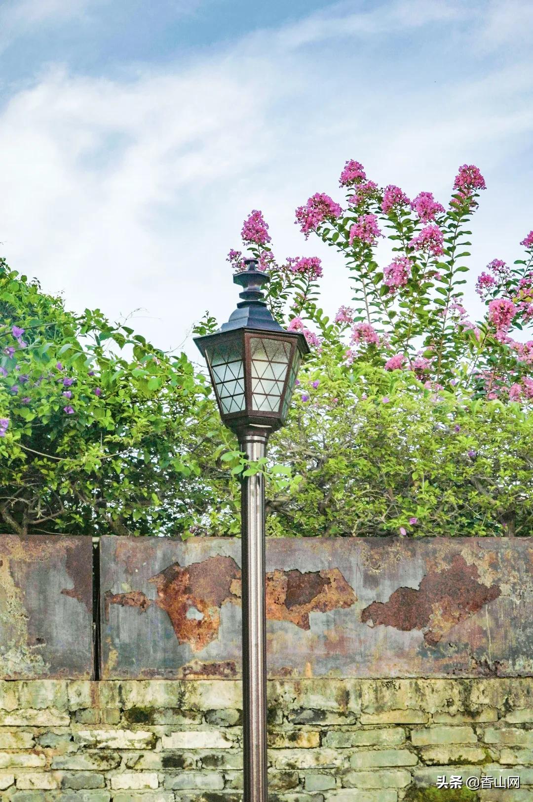 珠海鲜为人知的一面,珠海有名的花园