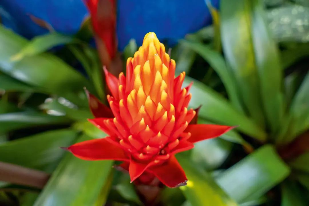 leicav-lux5使用教程,徕卡leicav-lux5