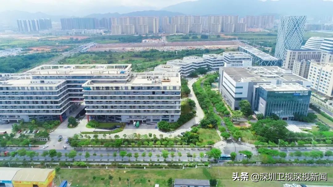 探秘比亚迪车间精益管理,探秘比亚迪车间的精益管理