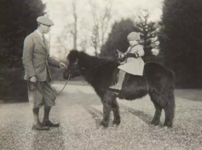 贵族娃都爱骑马？4岁夏洛特公主想要小马当圣诞礼物，乔治爱踢球