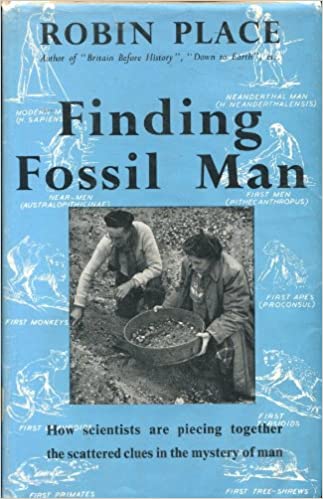 新概念英语第四册共多少课,新概念英语第四册单词朗读