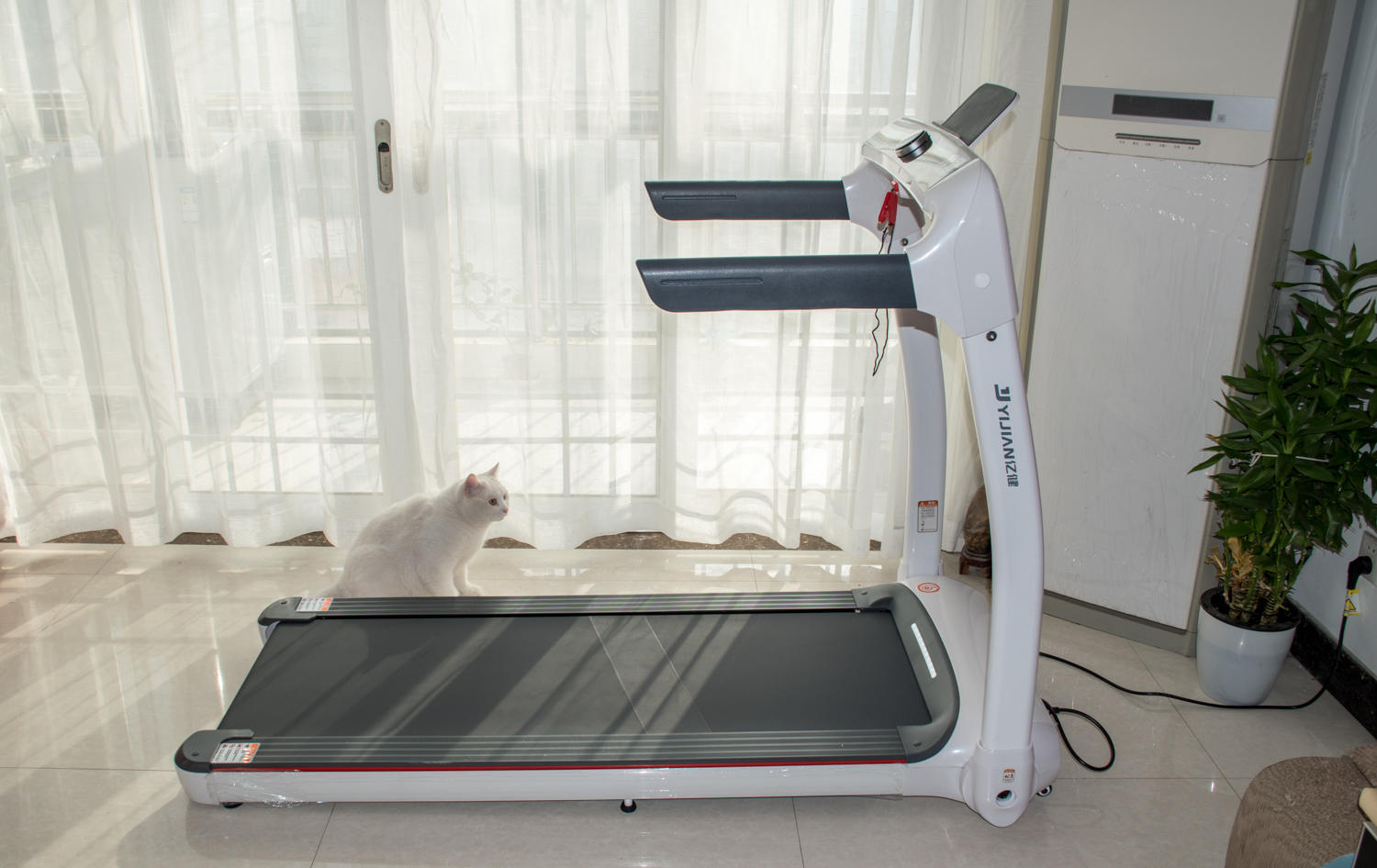 在家也能好好健身,宅在家也能健身