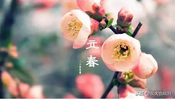 七年难逢九月闰，百年难逢初一春，明年何时立春？平年还是闰年？