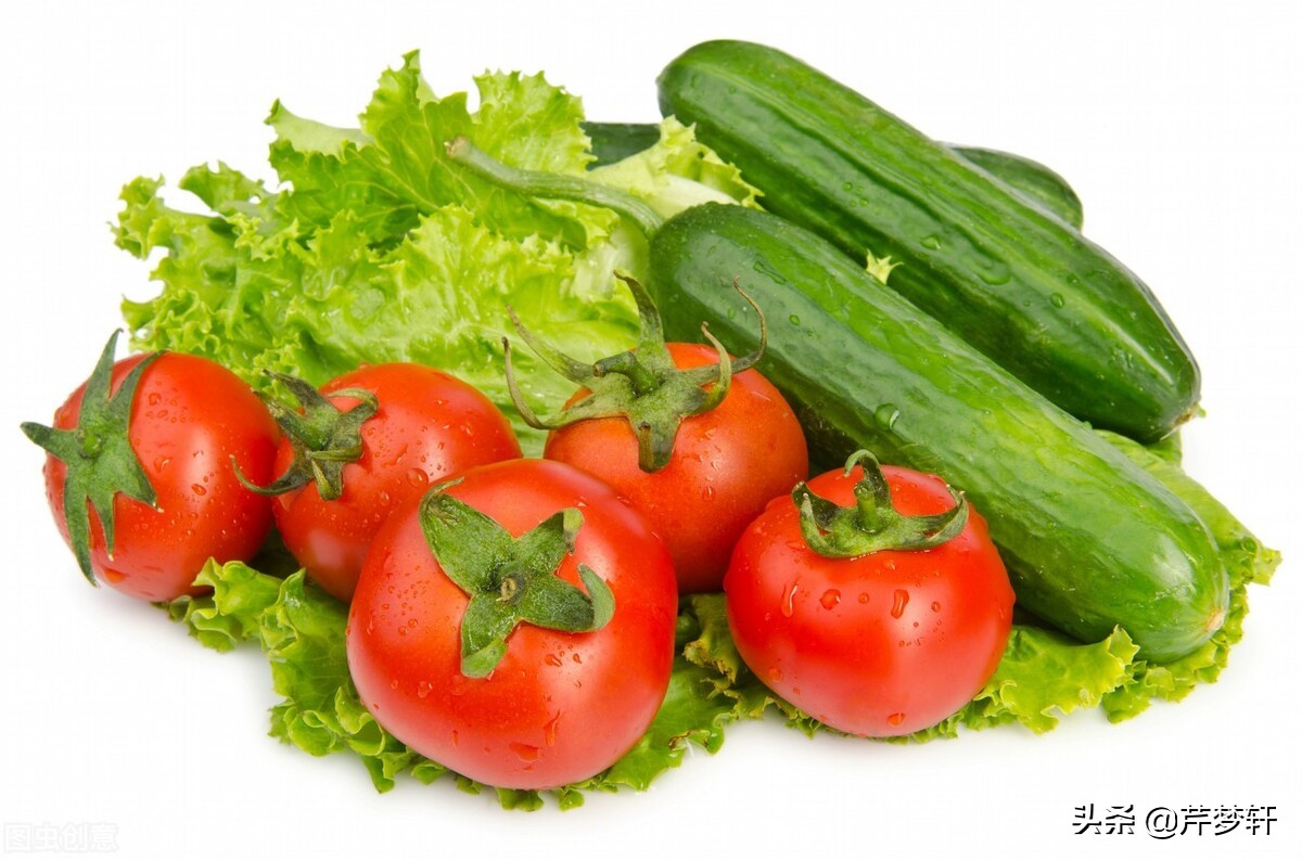 红楼梦诗社完整版,红楼诗社