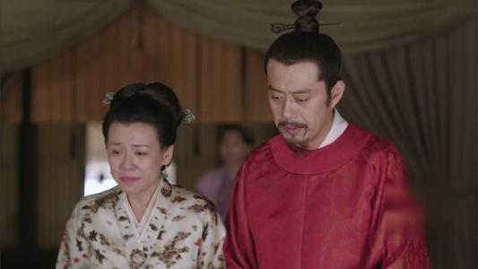 知否盛纮怎么养活一大家子,知否盛纮王氏