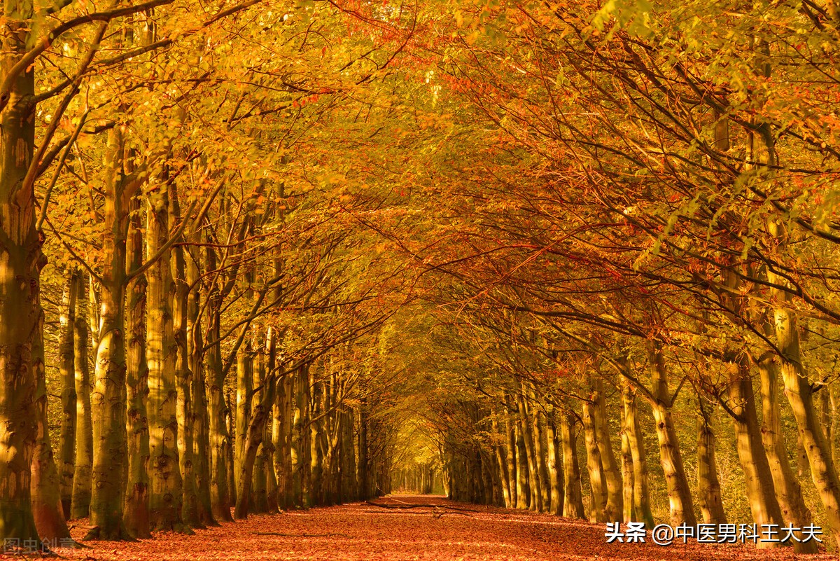 脉象弦细，记忆力差，睡眠不好，心肾阳虚型ED，中医该如何调理？