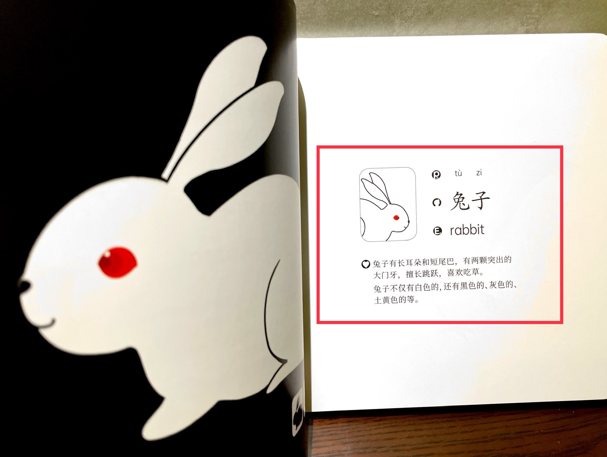 犹太人的智慧和教育方法,犹太人的早教