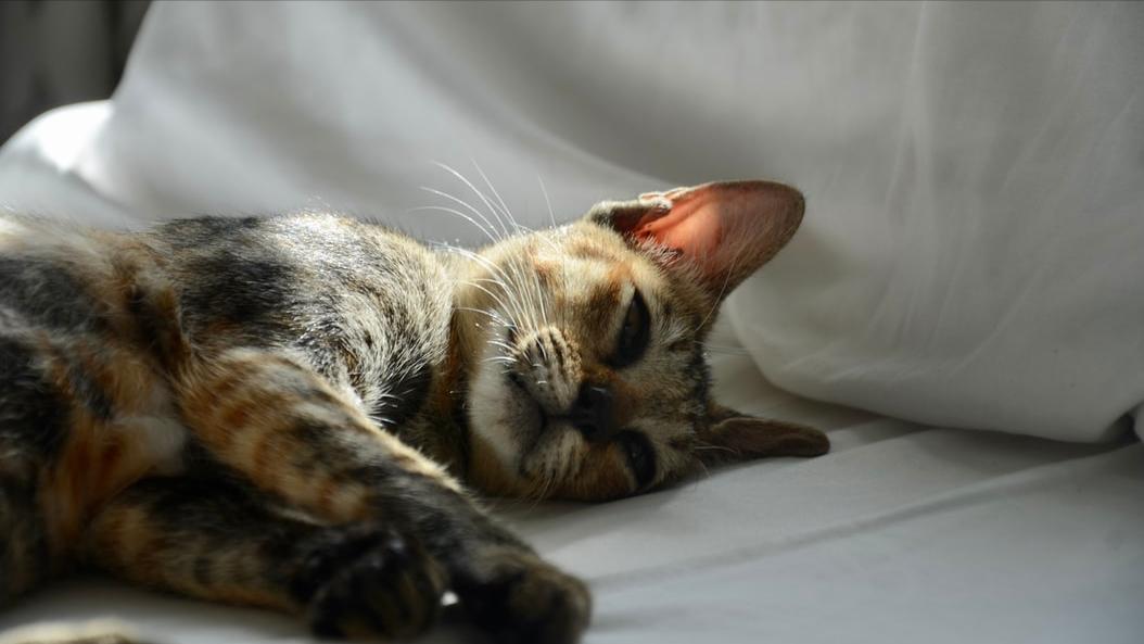 关于水电转售的税务处理,转售水电属于什么经营范围