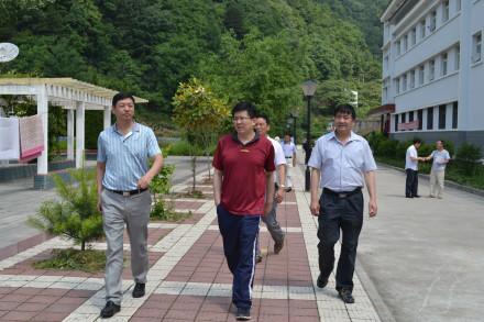 秦岭里飞出的“土蜂蜜”-------陕西省龙草坪林业局发展中蜂见闻