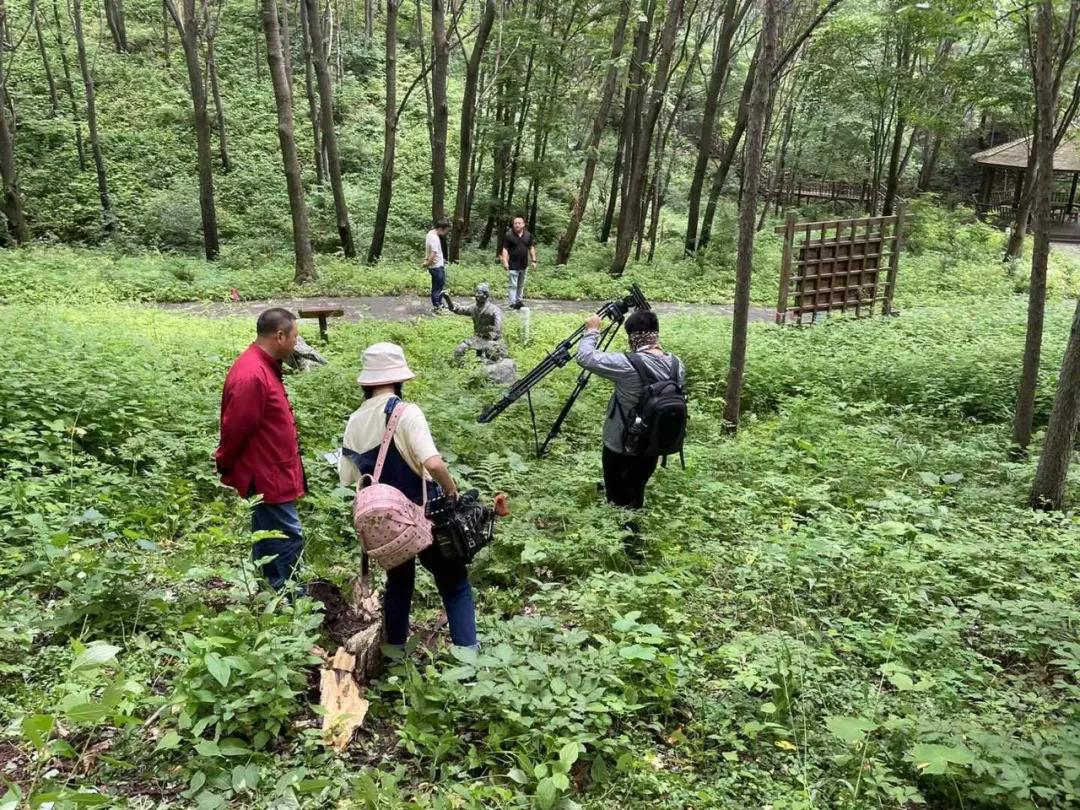 一个小城的夏天,夏天的城市处处都很治愈