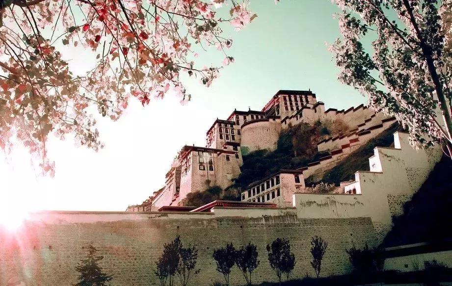 河南省春节旅游免门票景区 (春节河南6大景区半价)