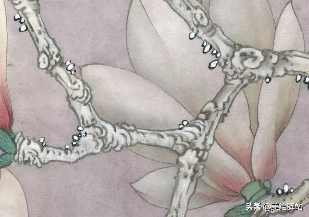 「教程」李晓明《玉兰蝴蝶》绘制步骤