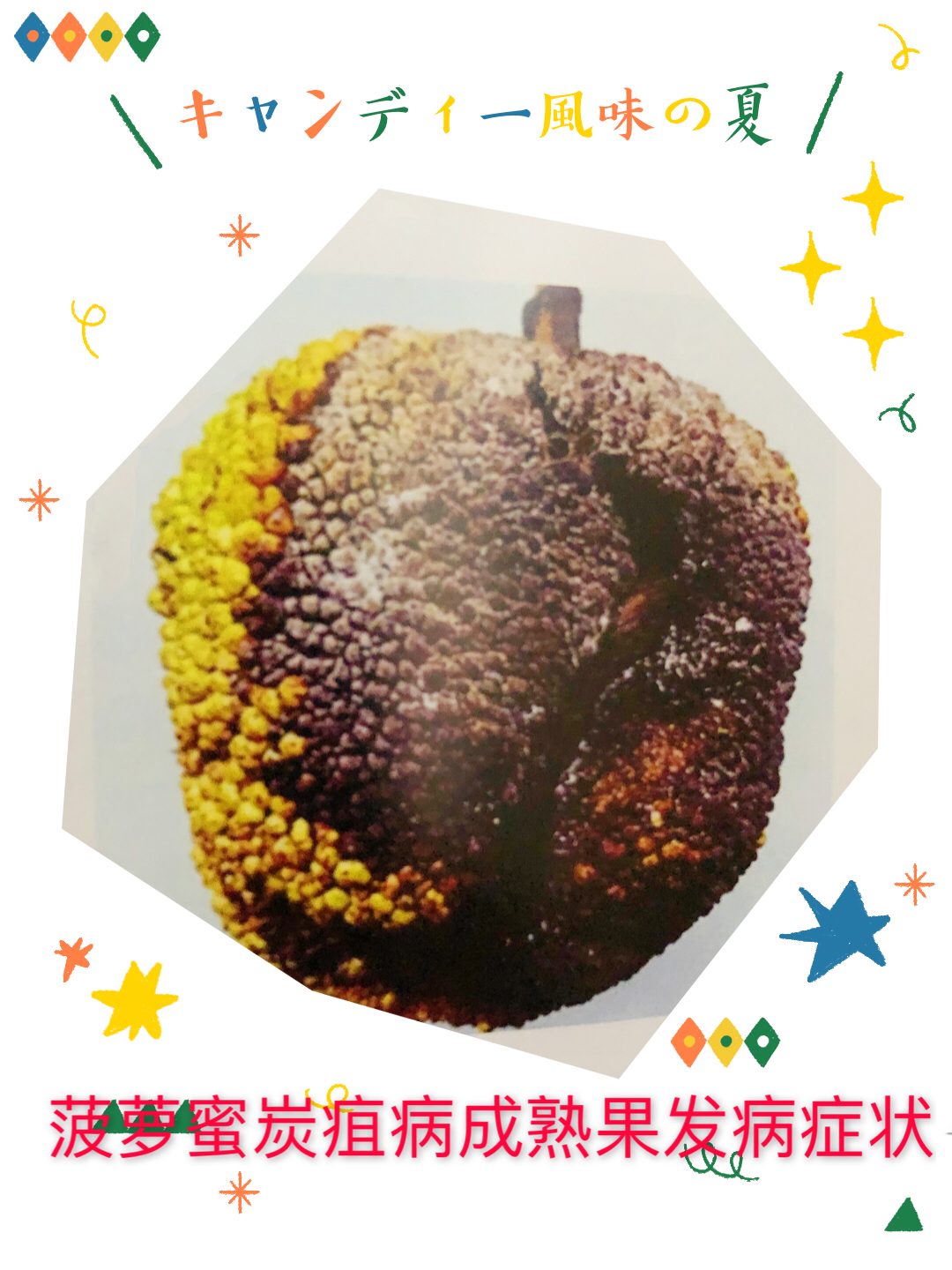 菠萝蜜树病菌防治方法,菠萝蜜怎样防治挂果初期果腐病