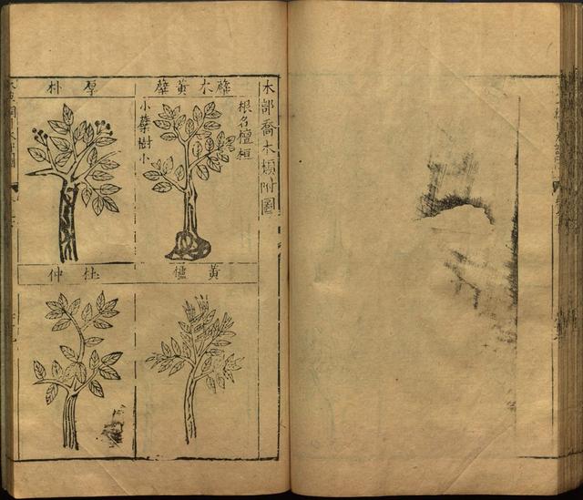 李时珍本草纲目书目录,李时珍本草纲目下卷