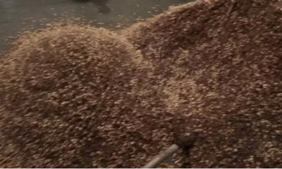 清香型白酒酿造工艺酿酒设备,白酒酿酒设备选哪种好