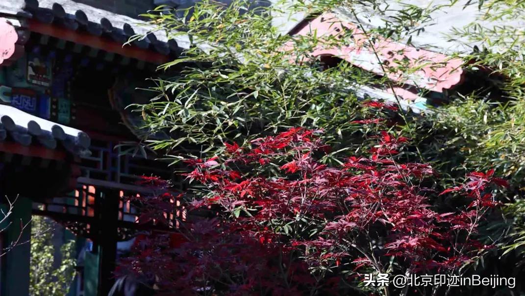 香山静宜园图片大全,香山静宜园二十八景