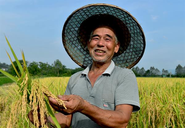 适合农村在家创业的小本生意,农村人创业该做什么生意好