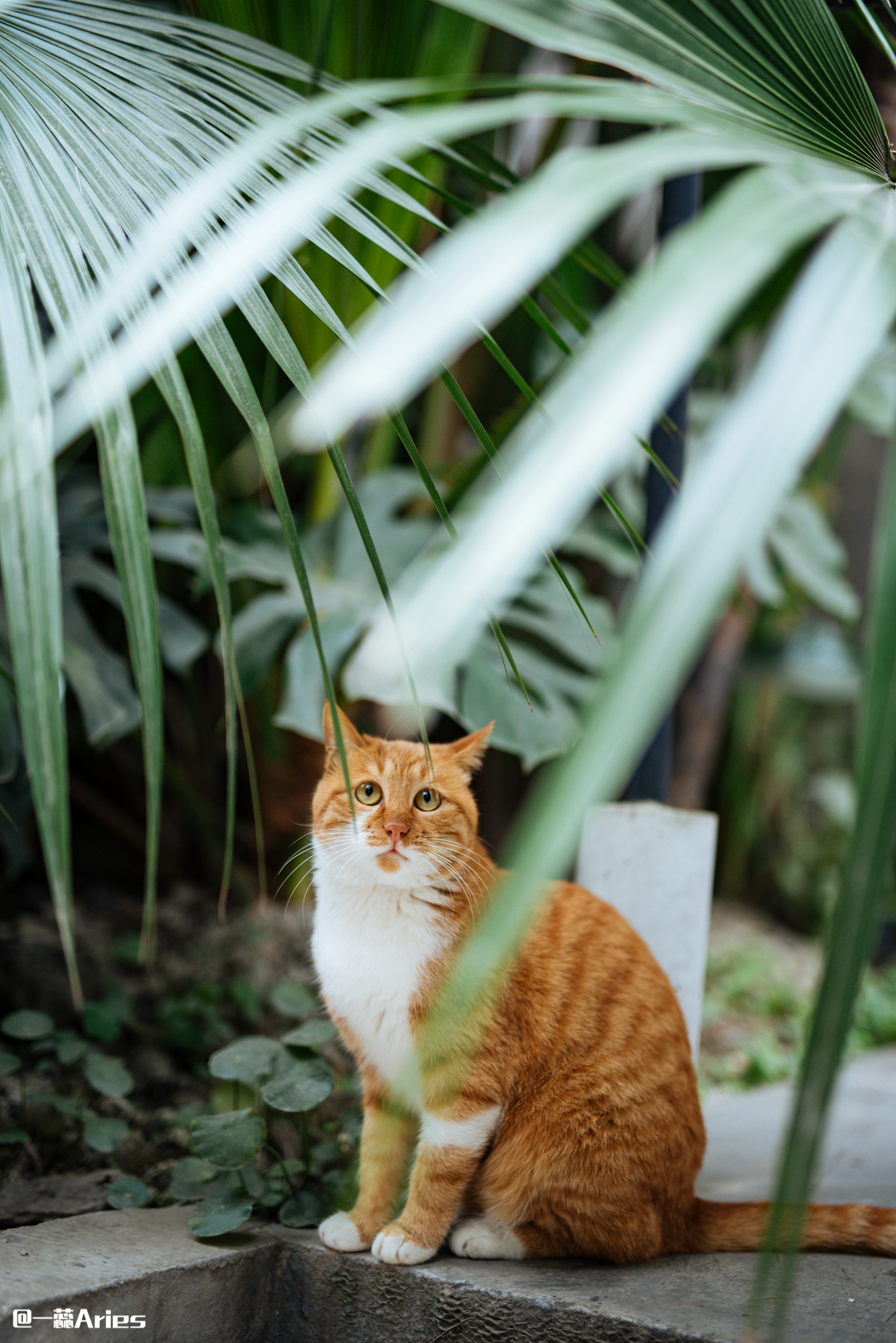 成都文创地标之完美文创公园,打卡成都文创城最新视频