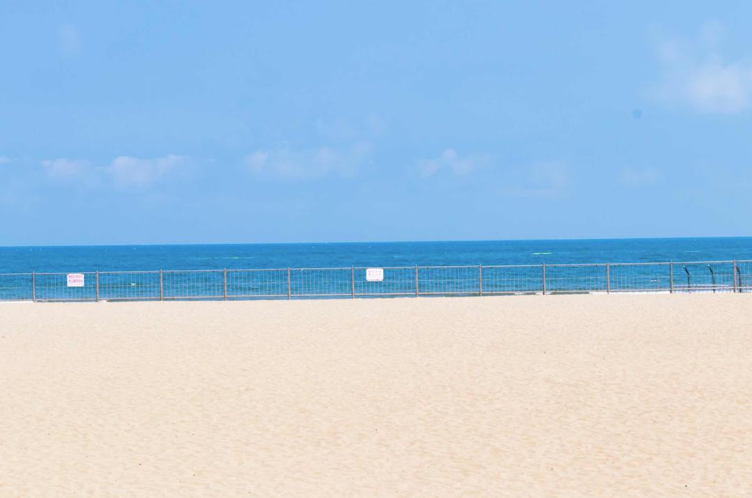 青岛最适宜旅游的景点有几个,青岛过年免费旅游景点