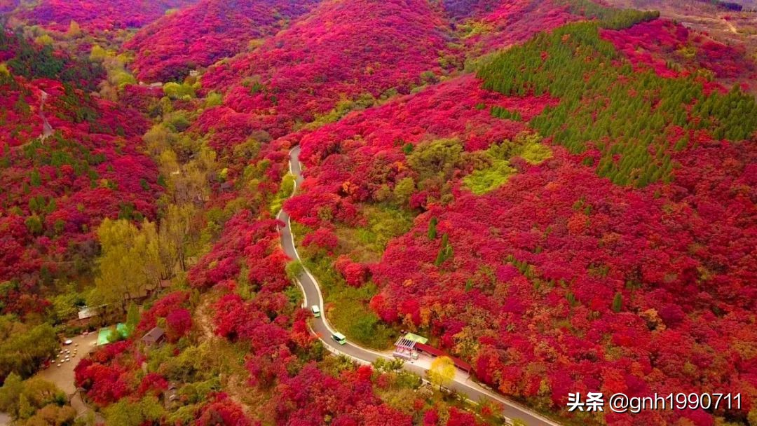 济南南部山区红叶谷几月去好,济南红叶谷旅游攻略视频
