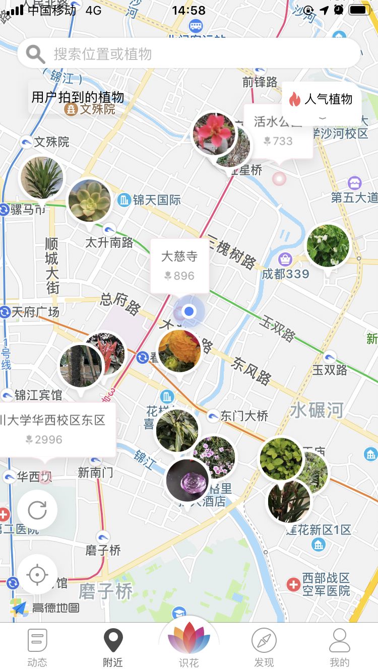 哪个识花软件最好用,识花app免费的哪个好