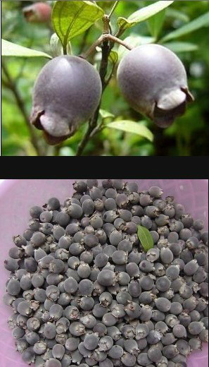 广西80后农村童年经典回忆,80后的童年回忆广西的农村生活