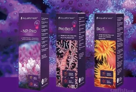 海缸刚开缸怎么饲养,海缸np双零珊瑚会白化吗