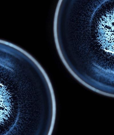 价值上亿建盏,价值60亿的曜变天目盏