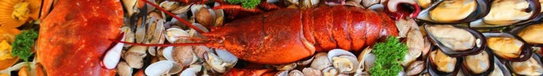 海岛两天一夜自驾游攻略,上海海边岛屿一日游枸杞岛