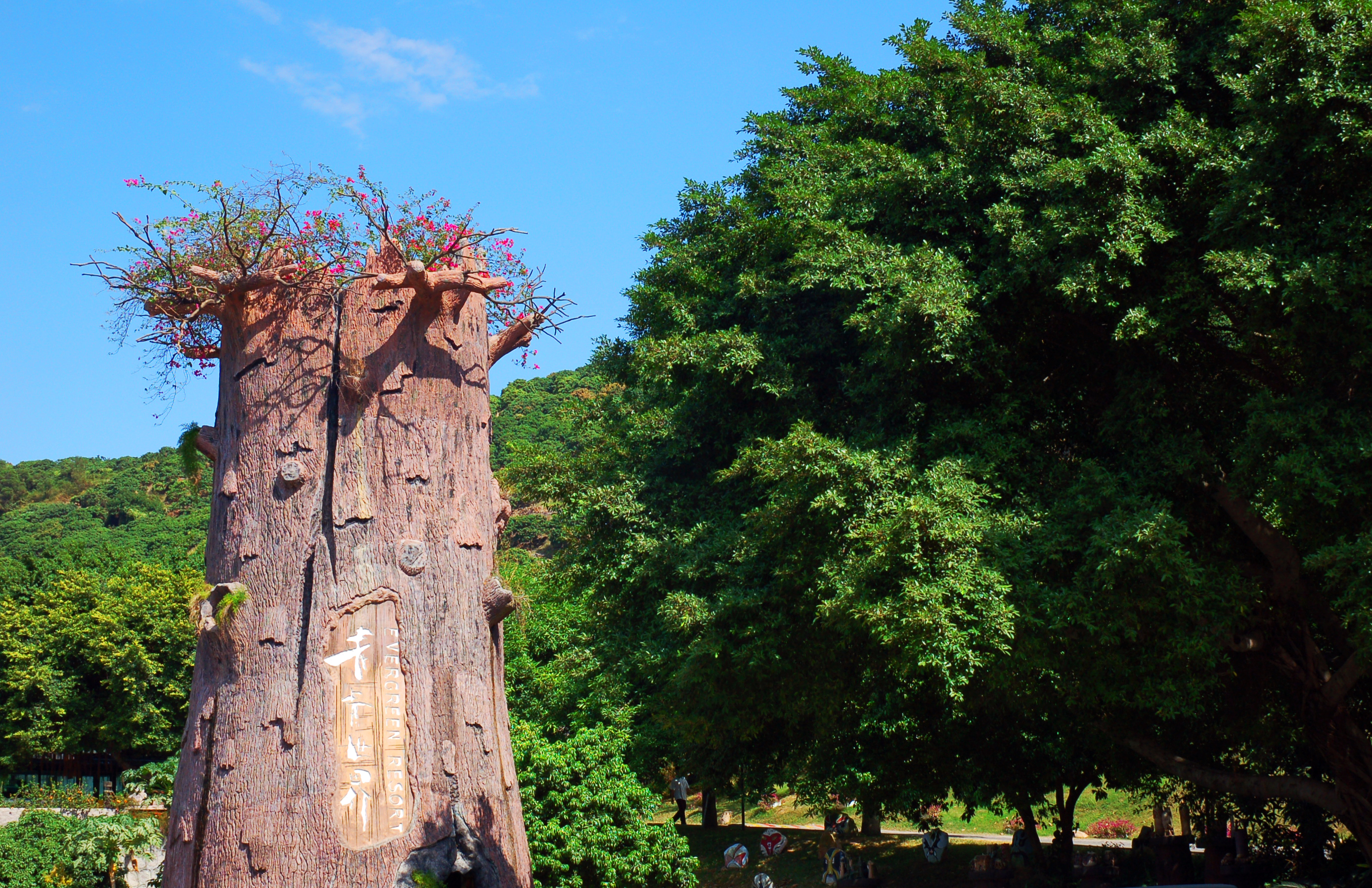 五一旅游必看的10个项目,五一期间有十大景区最受欢迎