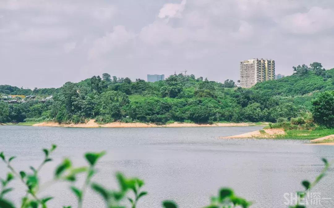 深圳市美美美,深圳最美免费水库