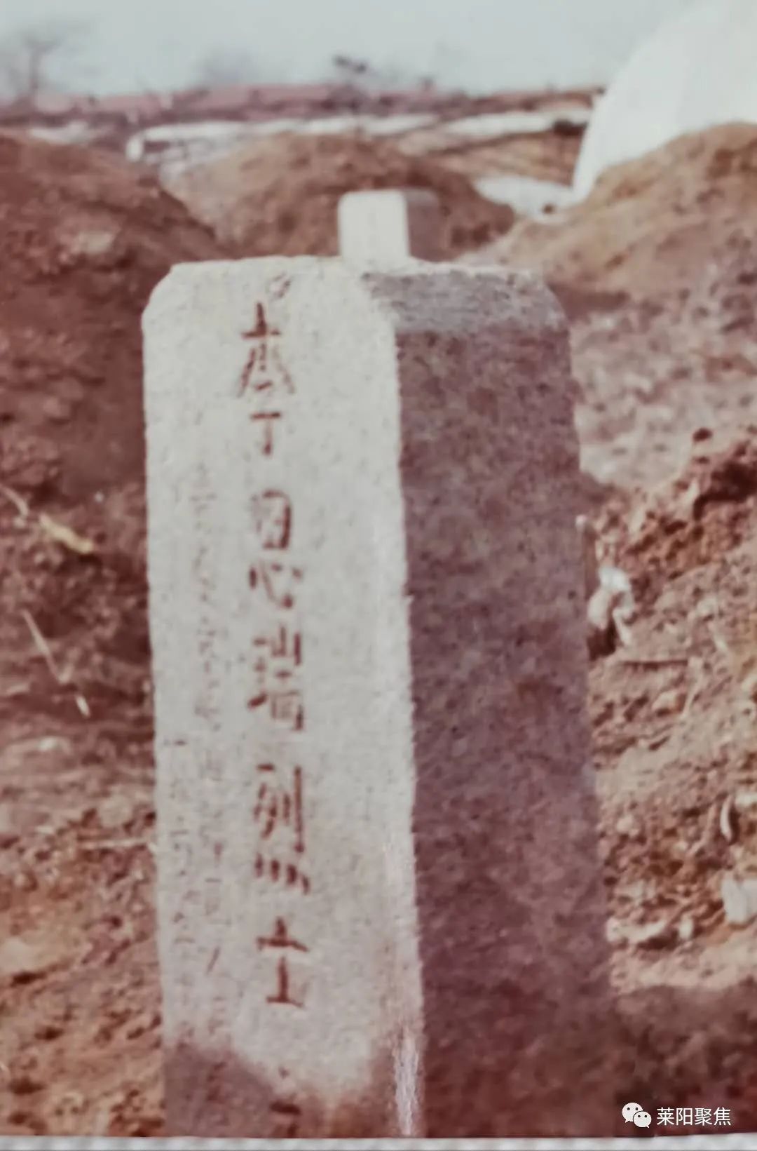 莱阳聚焦,聚焦烟台莱阳回放