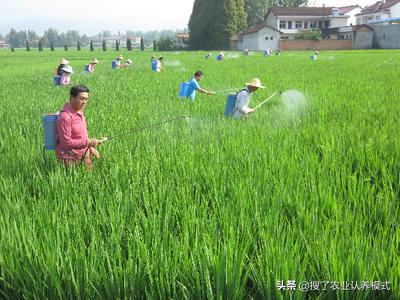 2019小县城小本创业,2019小本挣钱生意点子