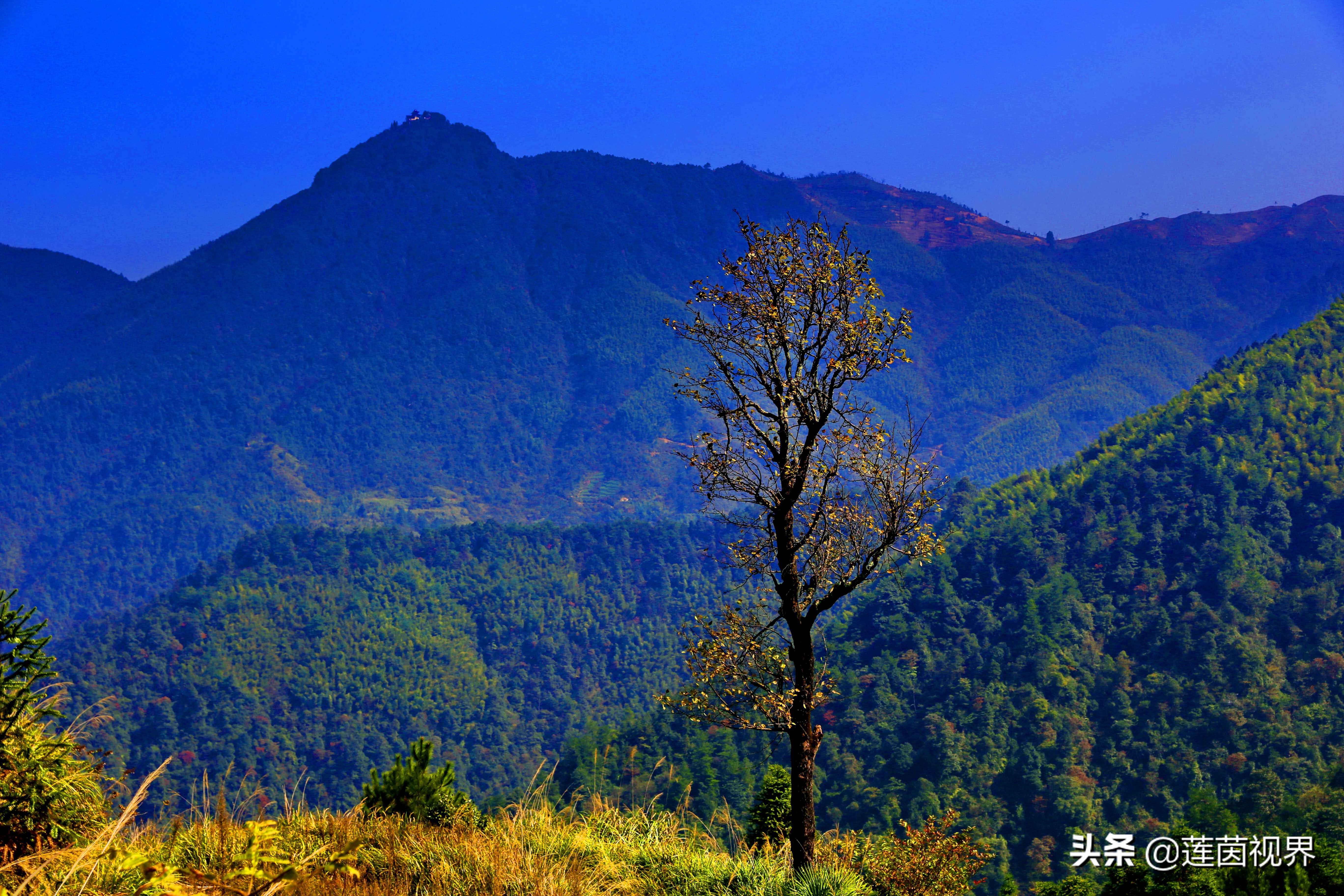 铜钹山夏天旅游哪里好玩,探险铜钹山原始森林