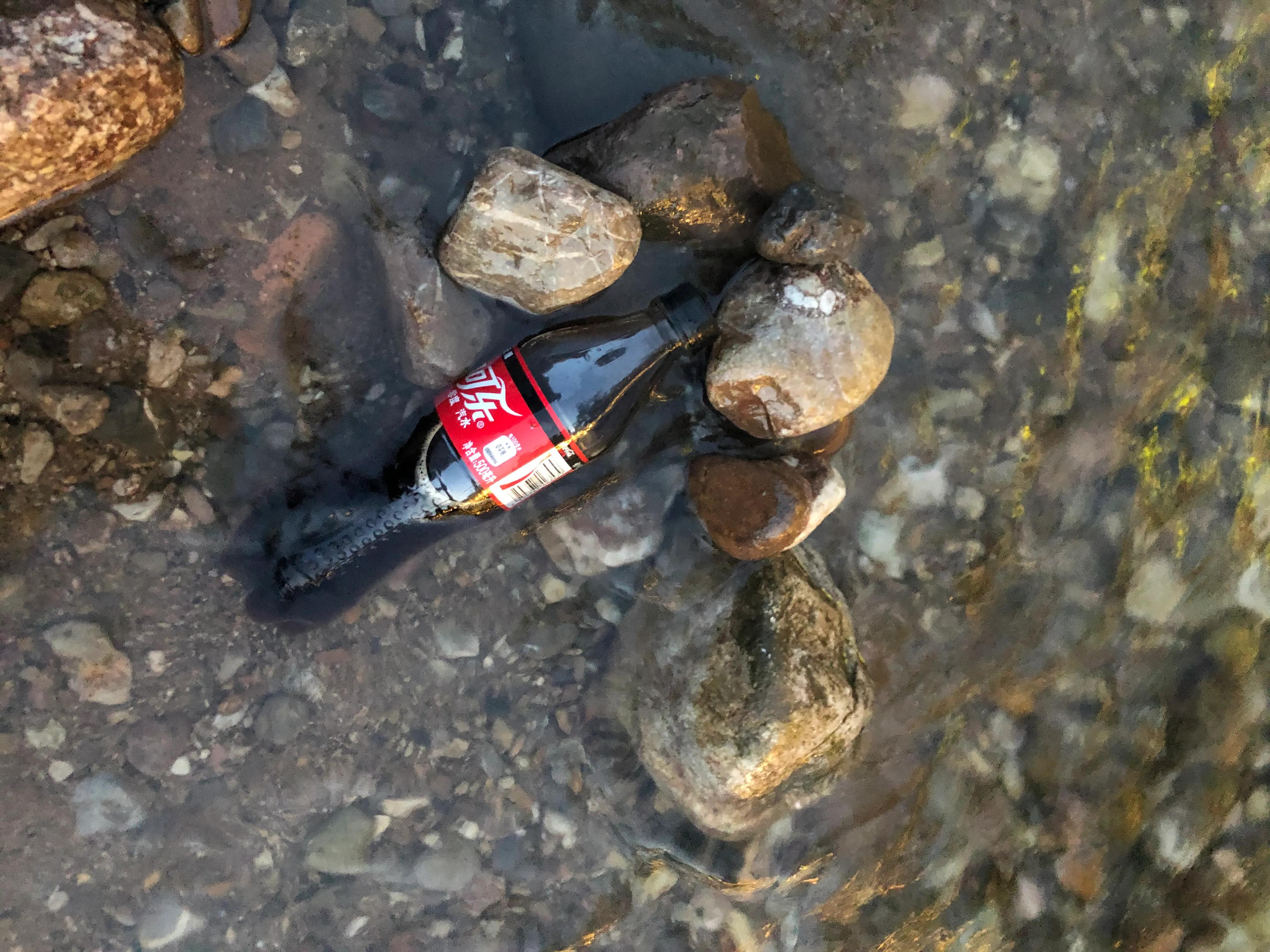 青城山后山一日游耍水攻略,青城山后山最值得去的地方