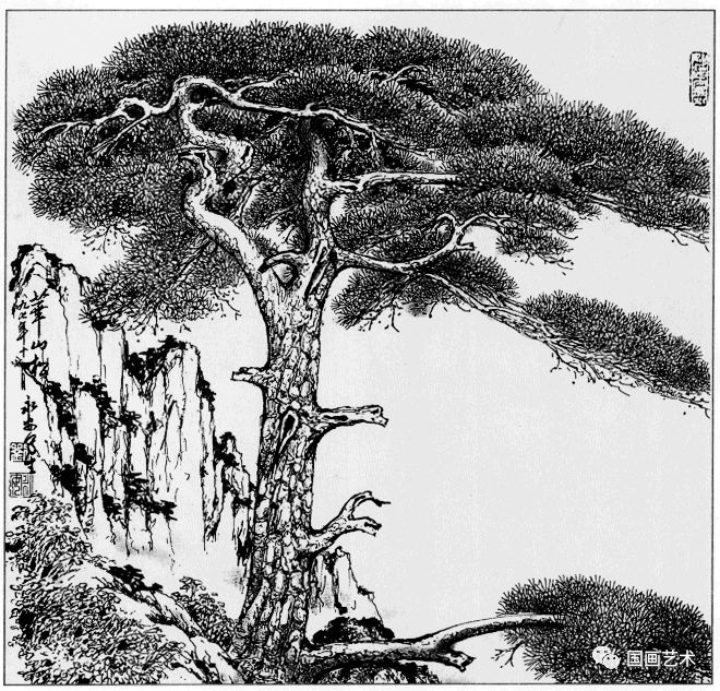 日式线描松树波浪纹,深度线描儿童画松树